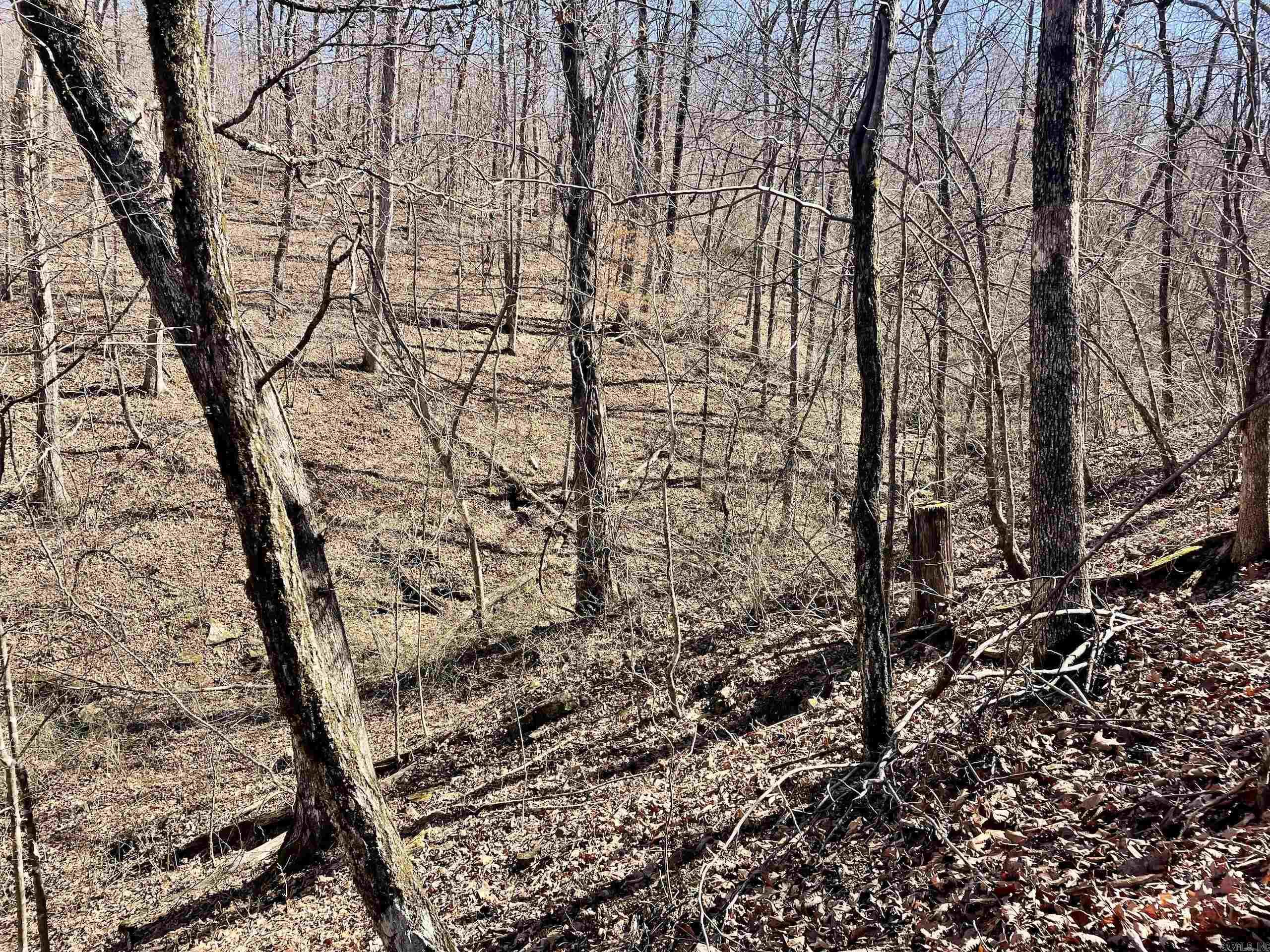 Not in Subdivision - Land