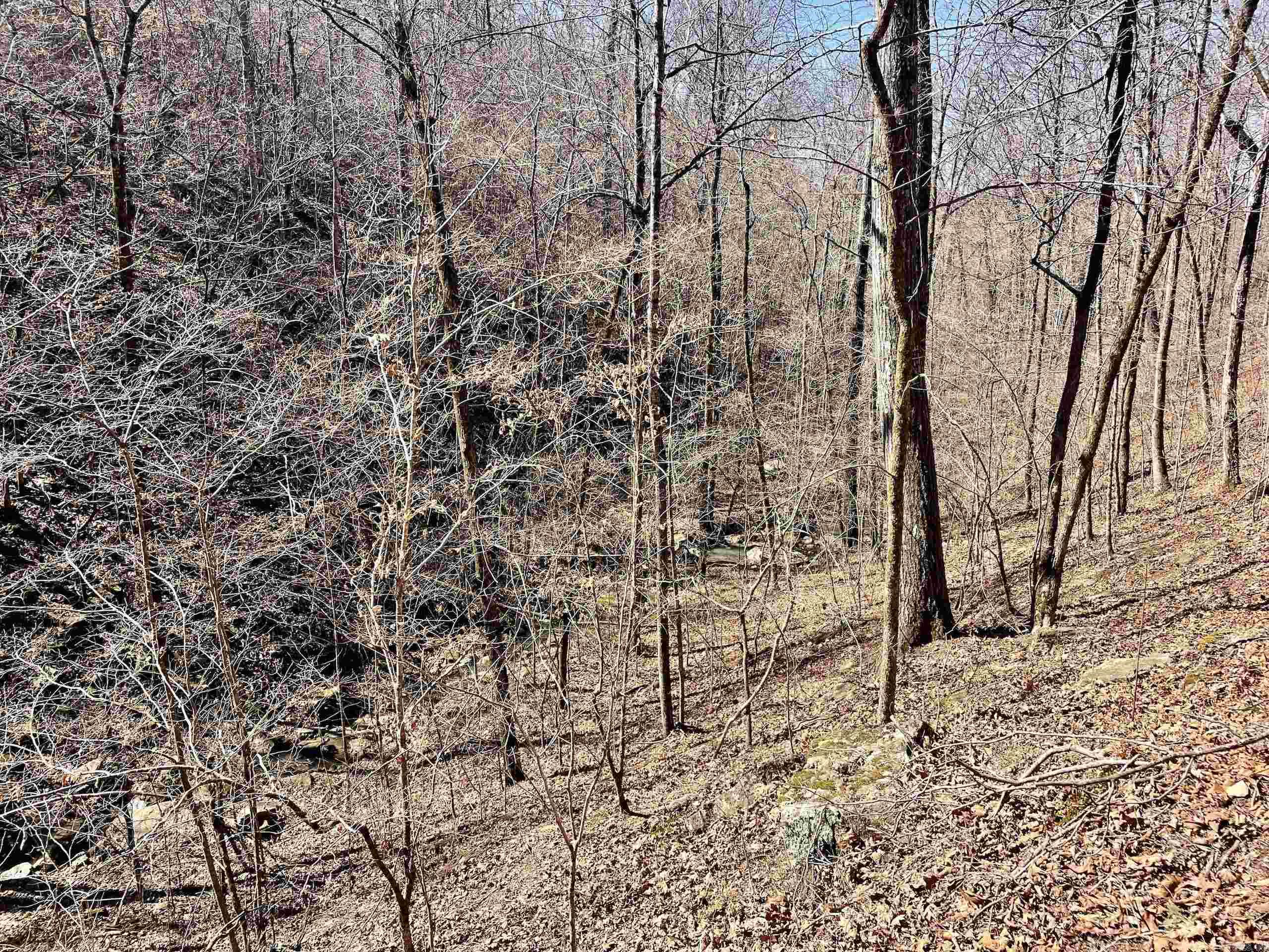 Not in Subdivision - Land