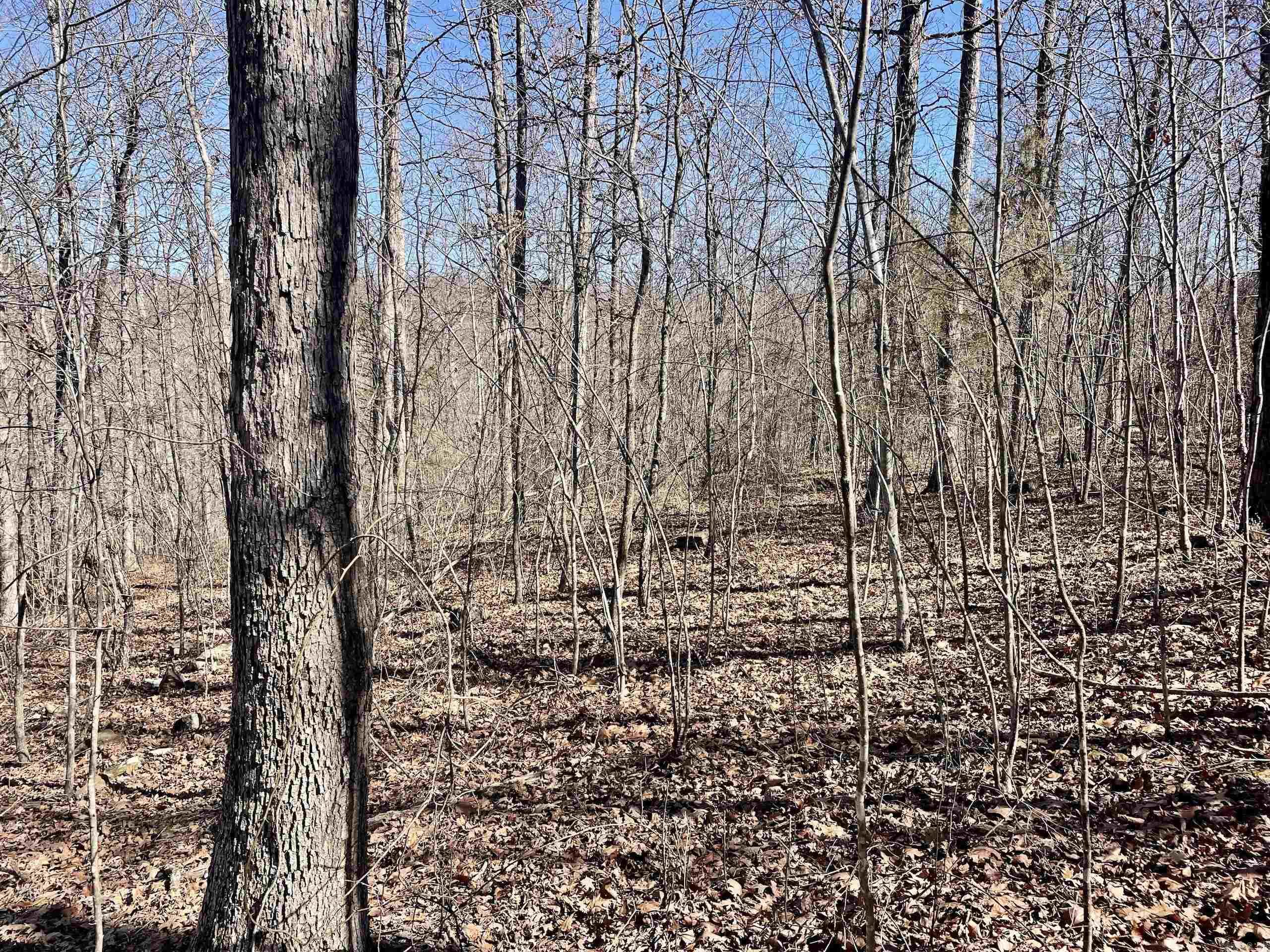 Not in Subdivision - Land