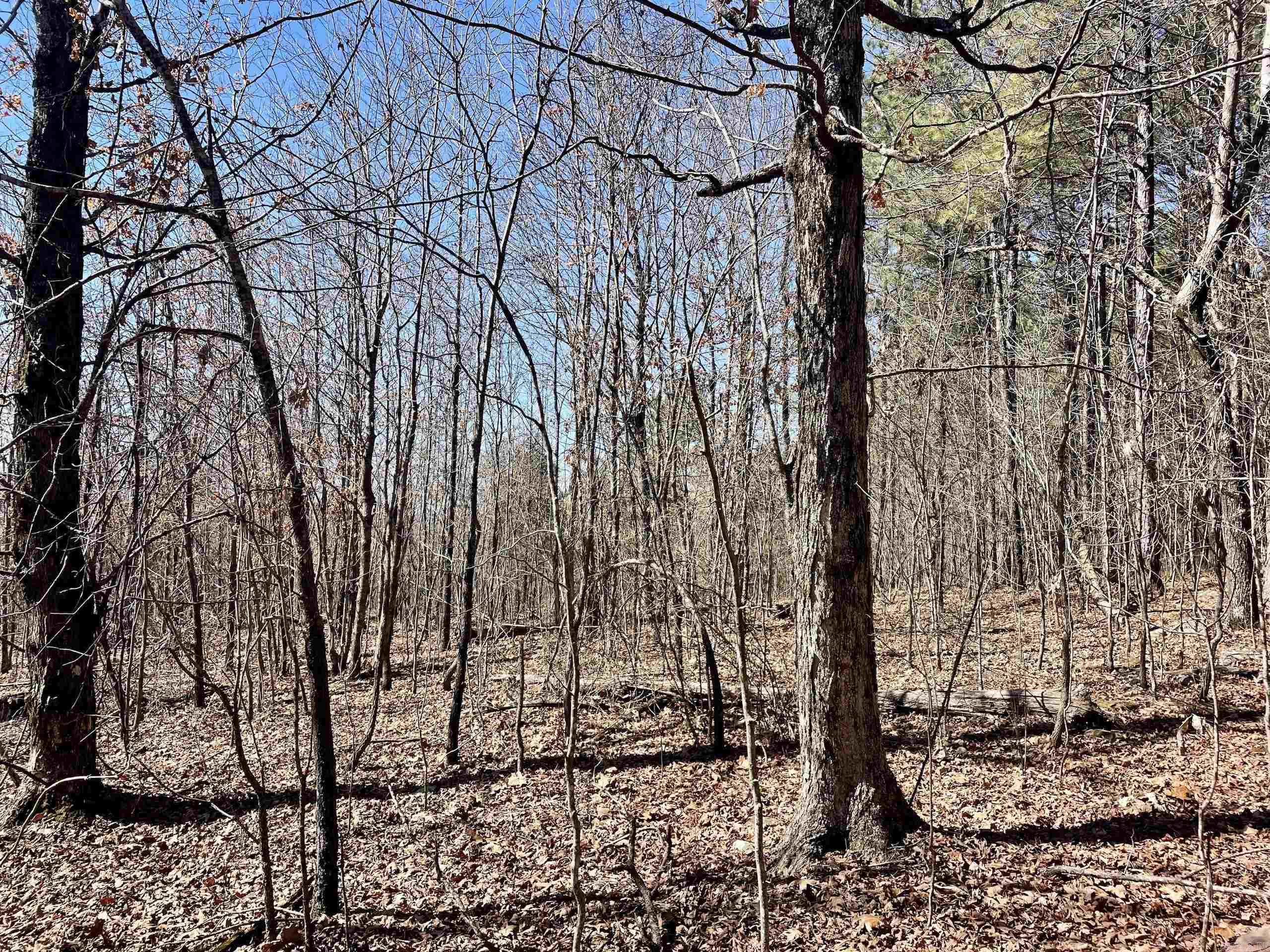 Not in Subdivision - Land