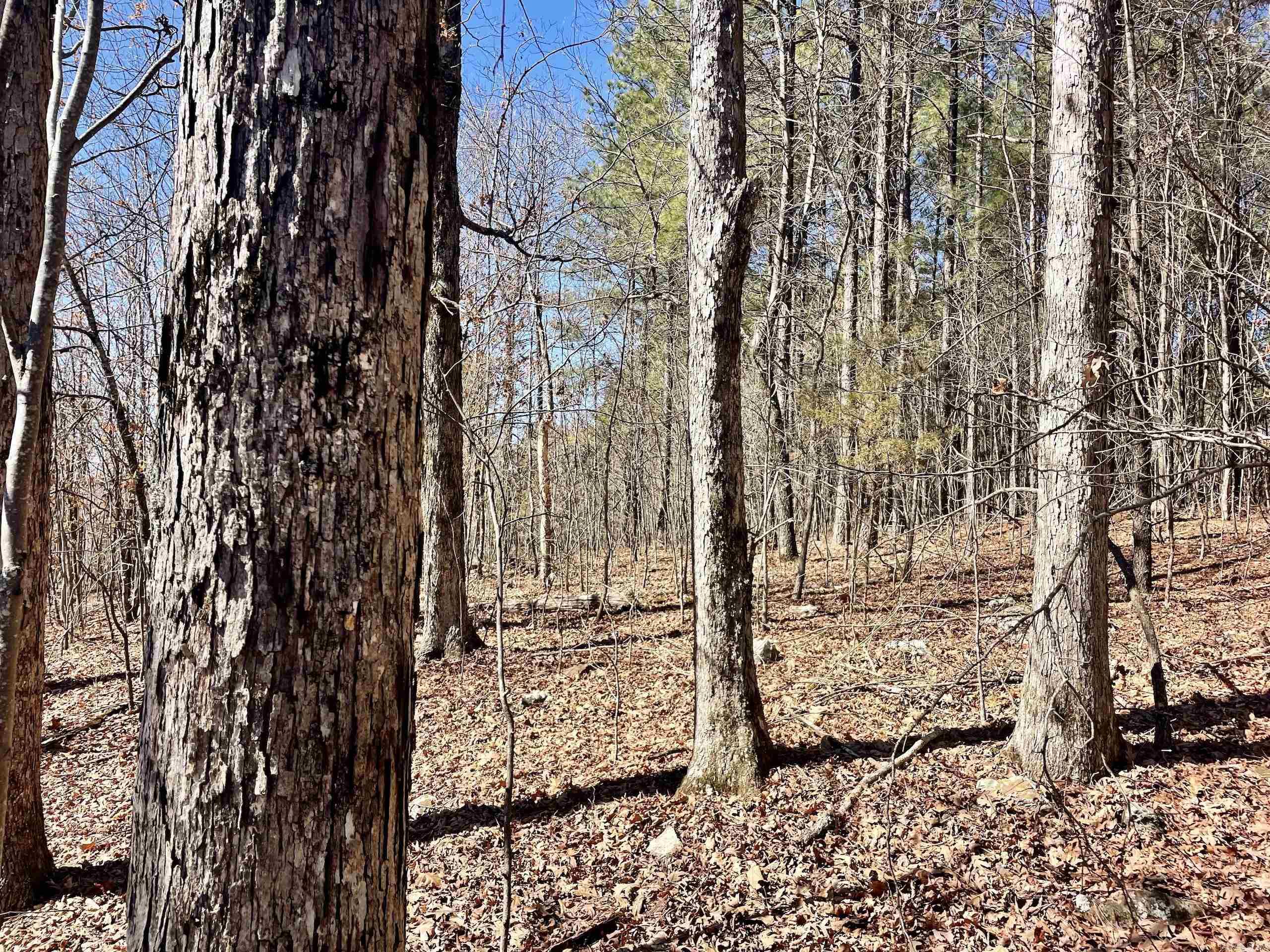 Not in Subdivision - Land