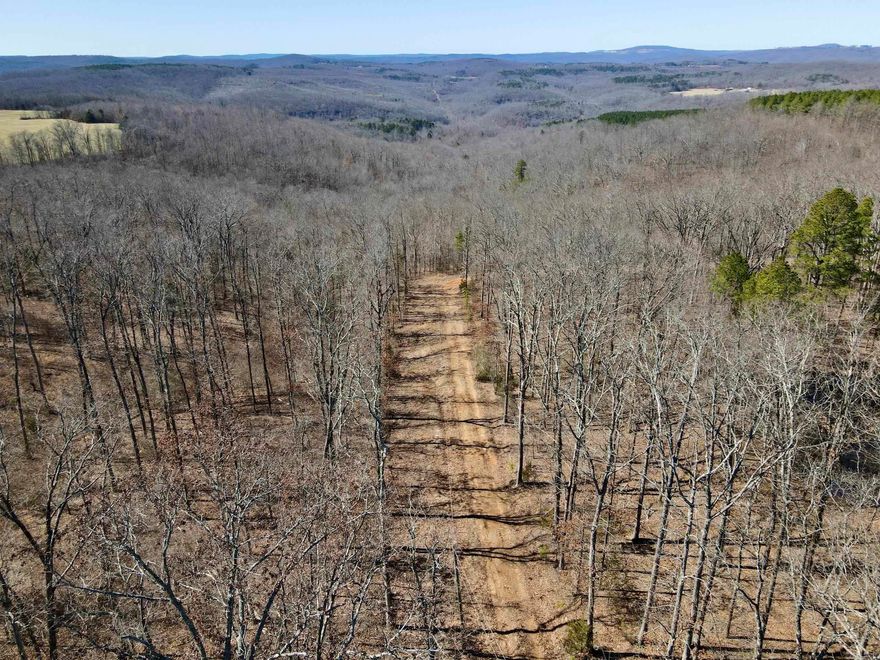 If you’ve been searching for a true Ozark Mountain hunting property with privacy, habitat diversity, and low hunting pressure - this is it. Located near the end of a quiet county road with gated access, this recreational tract offers the kind of seclusion serious hunters value. Electricity is already available at a prime building site featuring breathtaking views of the Ozark Mountains, making it the perfect location for your hunting cabin or base camp. A network of old logging roads runs throughout the property and could easily be reopened to create strategic access to multiple stand locations. These internal routes lead to a scenic Ozark mountain stream, providing a year-round water source that naturally draws deer and other wildlife. The timber stand is exactly what experienced hunters look for - a balanced mix of mature hardwoods and pine, combined with pockets of young hardwood regeneration. This natural diversity creates ideal bedding cover, browse, and travel corridors that help attract and hold wildlife. The result is strong habitat potential for whitetail deer, turkey, and black bear.