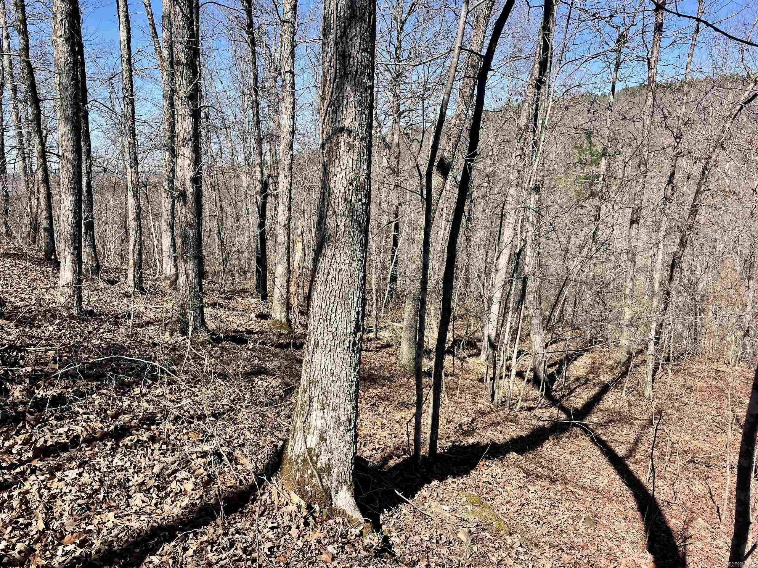 Not in Subdivision - Land