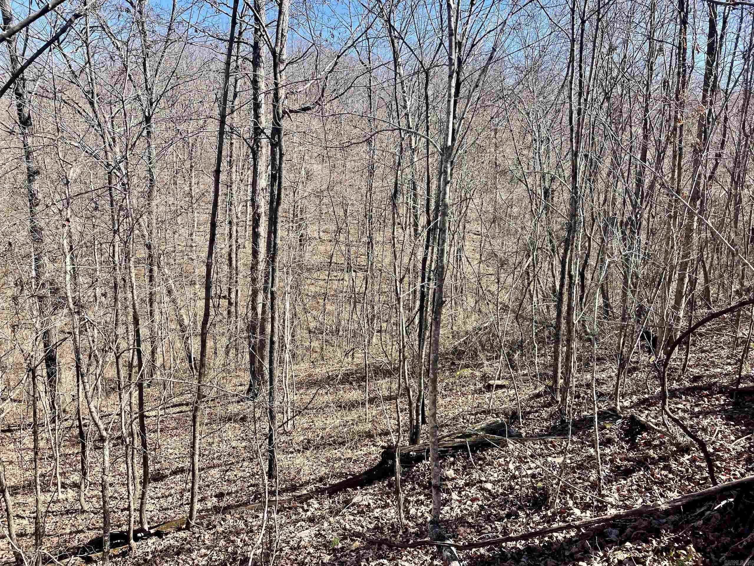 Not in Subdivision - Land