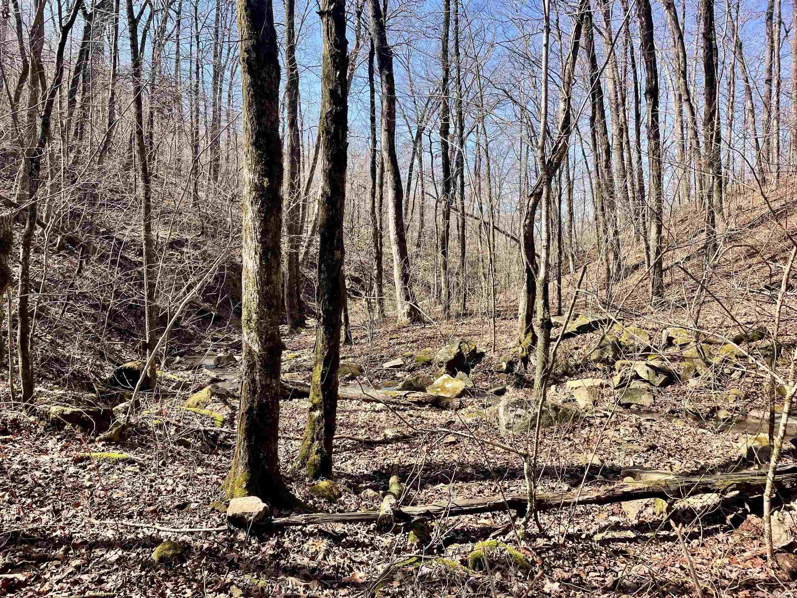 Not in Subdivision - Land