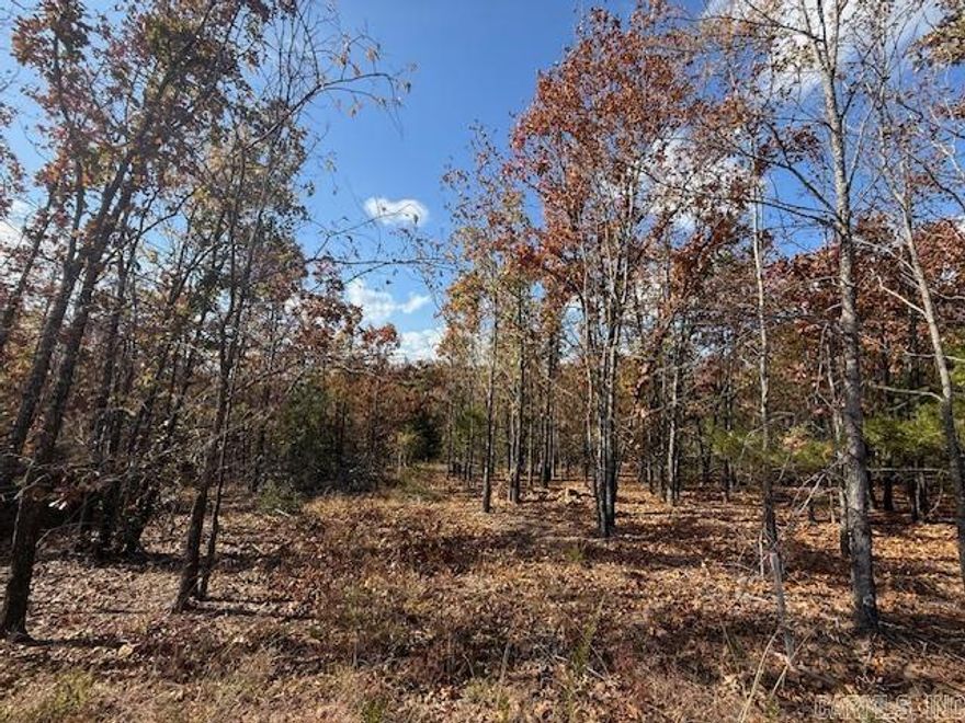 Wooded lot perfect for building your home or building a home to sale.  You could leave trees at the back of the lot for privacy.  All utilities are on the property. 1200 sq. ft. minimum