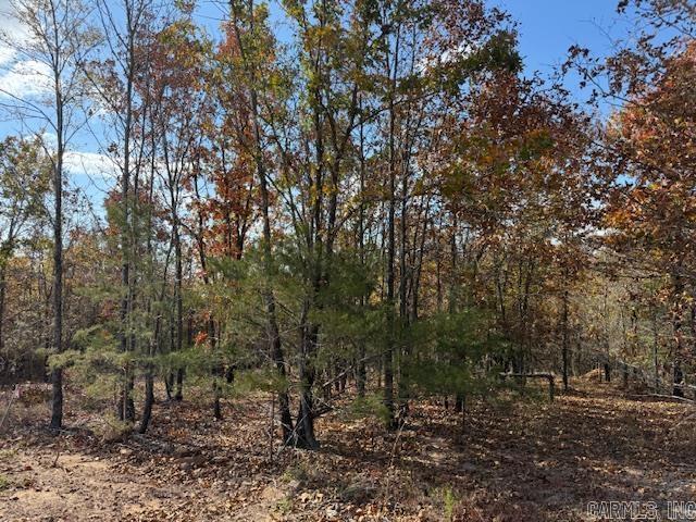 SUMMERLYN SUBDIVISION - Land