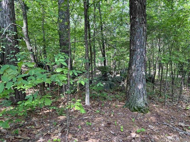 Ojibway Second - Land