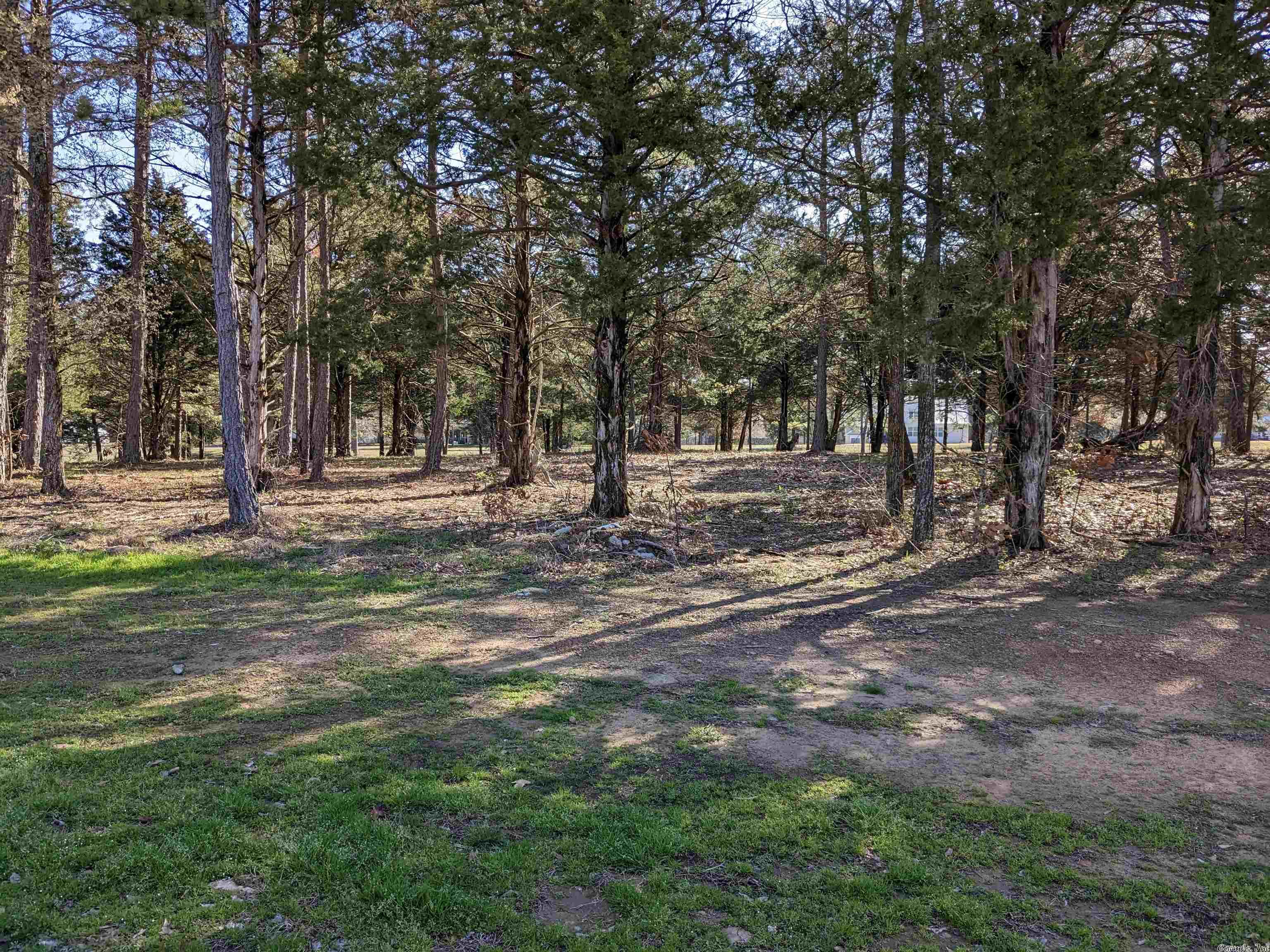 Beautiful flat lot in prestigious Brighton Pointe! One of the very finest subdivisions on Greers Ferry Lake offers buried utilities, sewer, natural gas, swimming pool, and a location that is unrivaled. Minutes to Dam Site Marina, restaurants and shopping. As good as it gets!