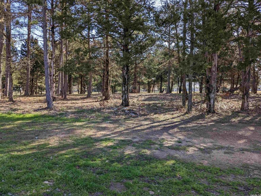 Beautiful flat lot in prestigious Brighton Pointe! One of the very finest subdivisions on Greers Ferry Lake offers buried utilities, sewer, natural gas, swimming pool, and a location that is unrivaled. Minutes to Dam Site Marina, restaurants and shopping. As good as it gets!