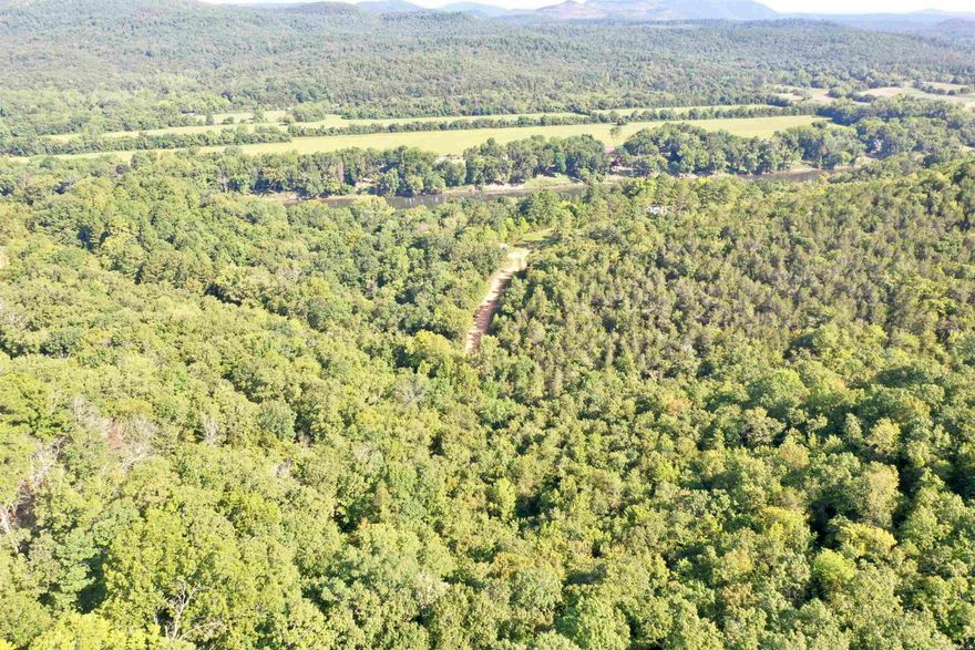 8.07 acres of wooded land near Mountain View! This beautiful property offers privacy being all wooded with No Restrictions!! Located close to the White River and downtown Mountain View! Call for more details.