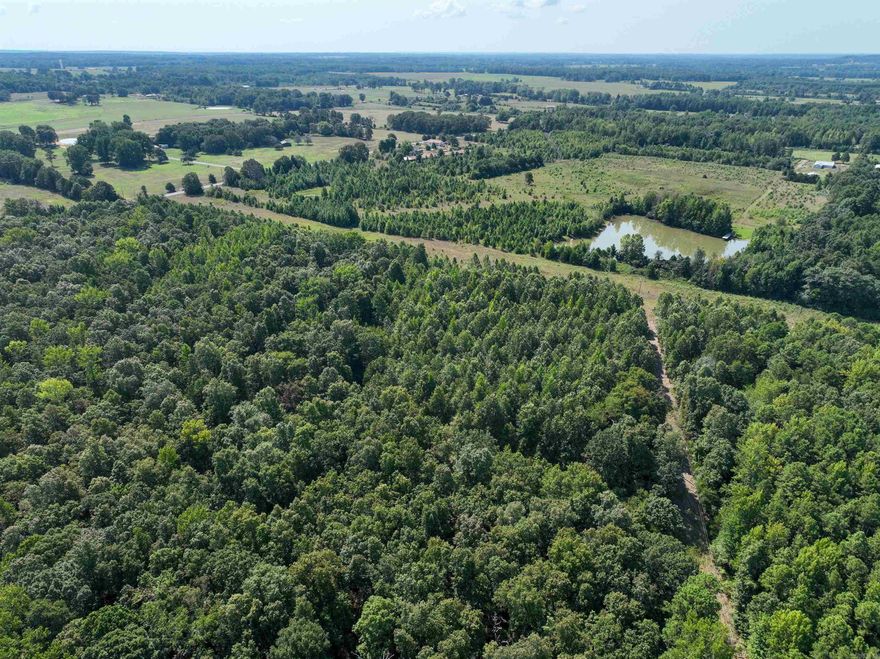 Build you a home, hunt , not restricted, nice and private, wooded 10 acres, water and electric on property, 20 minutes from Greers Ferry Lake and Little Red River.