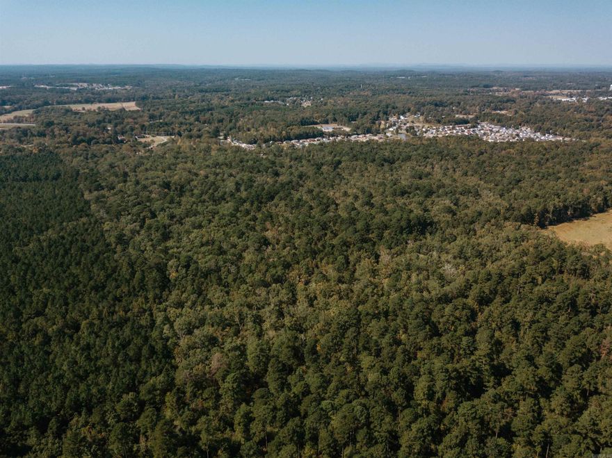 The Haskell North Tract offers 100 acres of prime timberland that was cruised in July of 2023, giving you an up-to-date picture of its timber value. This tract is stocked w/ a variety of timber, including mature pine saw timber, pine pulpwood, red oak saw timber, white oak saw timber, & other misc hardwood pulpwood. The diversity of species, from valuable oaks to gum & other hardwoods, makes this tract a strong investment for future timber harvests. The Haskell South Tract mirrors the same excellent qualities of the North, w/ a similar timber composition that includes mature pine saw timber, pine pulpwood, red and white oak saw timber, and mixed hardwoods. With a full timber cruise conducted in mid-2023, this tract is ready for anyone looking to capitalize on its timber value. The presence of saw-quality oak means that this land has great returns in the logging world, offering an exceptional opportunity for those looking to invest and be able to enjoy that investment as values continue to rise. Both of these tracts represent a rare opportunity in terms of timber investment, recreation, and future development potential.