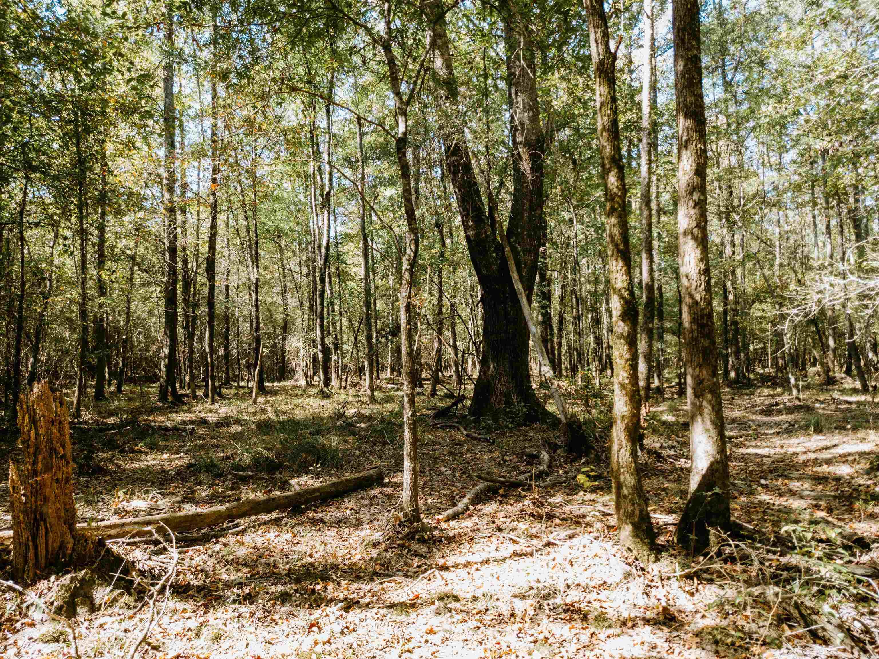 Metes & Bounds - Land