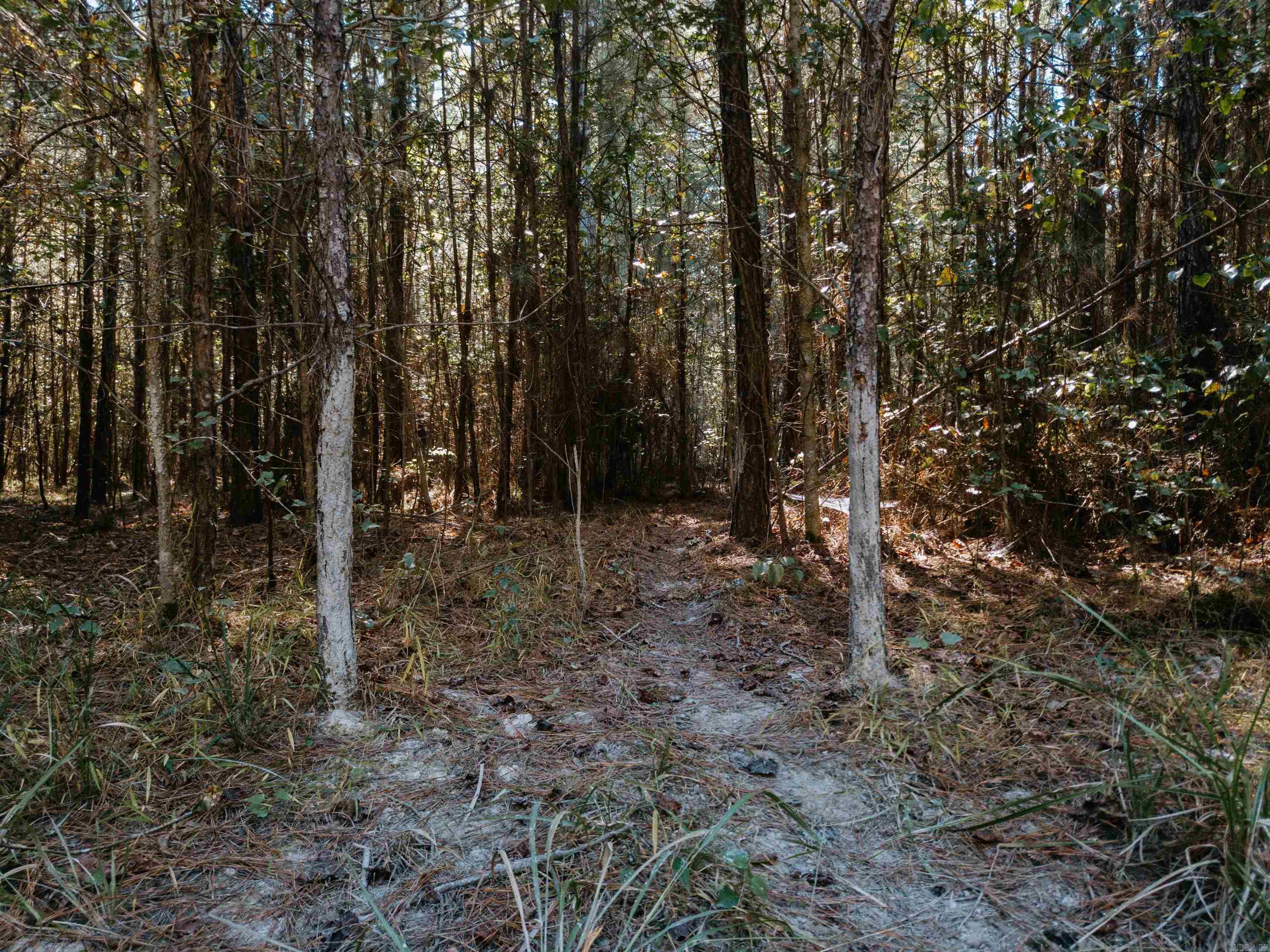 Metes & Bounds - Land