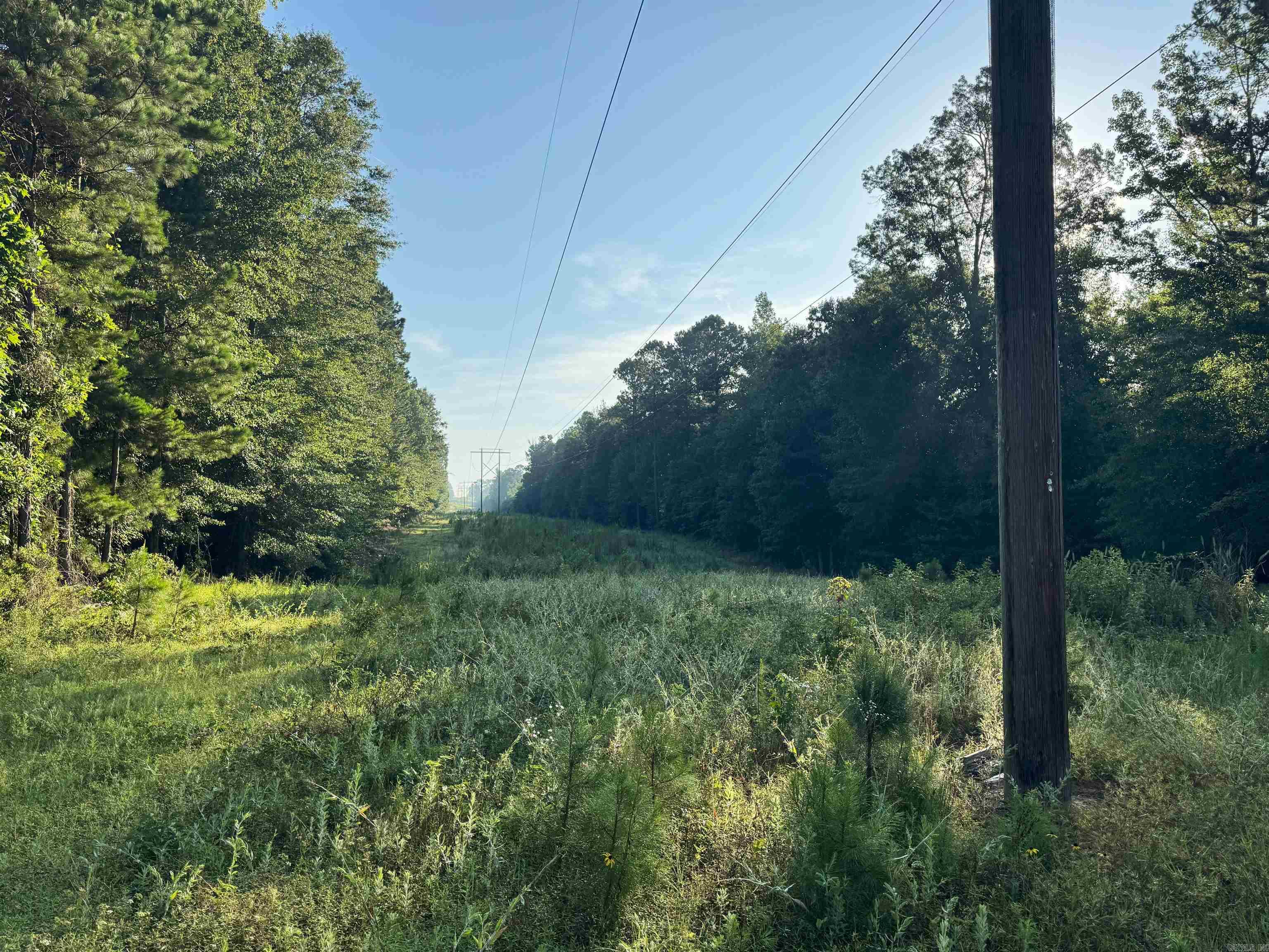 Perfect homesite with timber, creek, and hunting potential. Ideal location to build your dream home with natural beauty all around. This tract offers a great mix of mature, marketable timber - pine and hardwoods - and varied topography featuring a scenic ridge and plenty of high ground. A sandy-bottom creek runs through the lower portion of the property, adding visual appeal and recreational potential. The land is well-suited for a home or cabin site, with utilities available at the road for convenient access to water and power. Multiple ideal building locations are available on elevated ground. Deer were observed on the property during the photo session, highlighting the excellent hunting potential. The timber and terrain create a strong habitat for wildlife, making this property a great option for sportsmen and outdoor enthusiasts. Whether you're looking for a peaceful rural homestead, a recreational retreat, or a long-term timber investment, this property checks all the boxes. Contact us today to schedule your private showing.