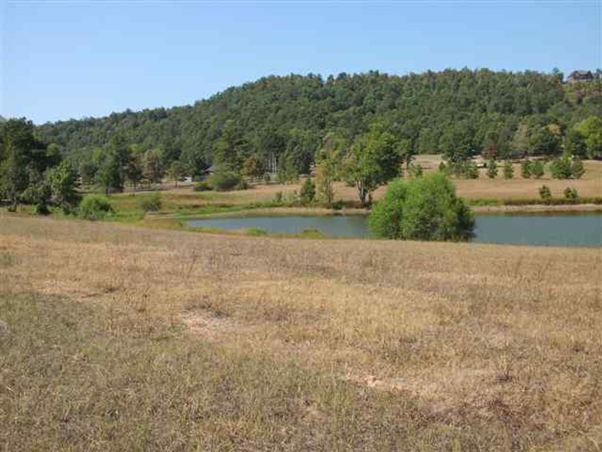 Beautiful, level property with mountain views and more!  Septic already installed, public water at road, not on property, county road frontage, partial pond.