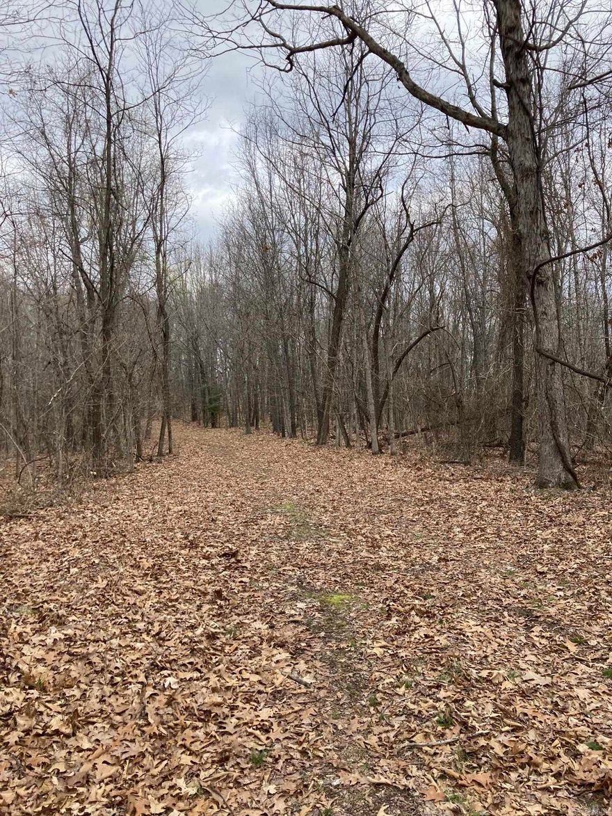 40 acres on Hall Mountain! 30 mile view on a clear day. Abundant wildlife!