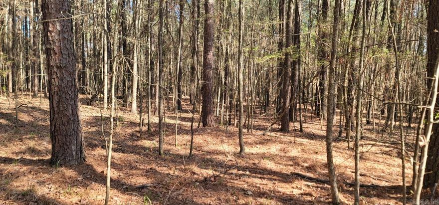 Don't wait to make a move on this level, .48 acre lot located on the desirable East end of Hot Springs Village. This rare gem will make for the perfect home site with a 1000ft walk to Estrella Lake and right around the corner from Isabella golf course. This property is also 5 mins from the East Gate, convenient to Highway 5. Hot Springs Village consists of 26,000 acres with 11 Lakes and 9 golf courses. With numerous hiking trails, Pickleball Courts and social clubs... there's something for everybody! Call today for more info!