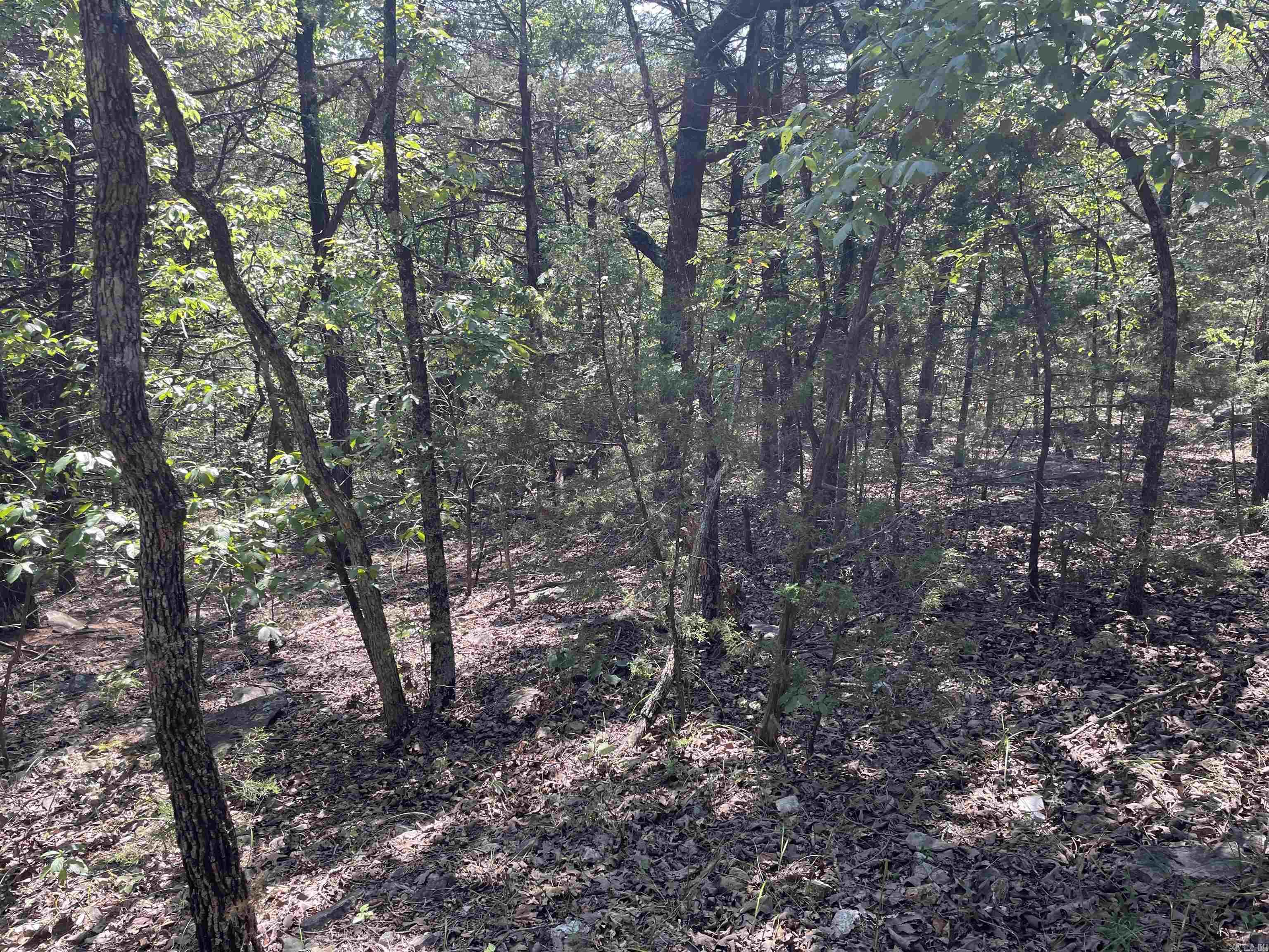 Hunters and Outdoorsman, here is a unique place that has it all! A place to hunt, camp, fish, hike, close to the Strawberry River and so much more!This is a 6.6 +/- acre lot just off the main road coming in that leads down to the lake!This lot is easy to get to and would make a great lot to build a small cabin on so you can enjoy the outdoors!You are just minutes from a little store called the Calamine Store that serves lunch most days!Not to far from Jonesboro and Hardy!This property ownership gives you access to hunt all property, which contains 600 +/- acres.For those that do not hunt, you can fish the lake, which consists of about 25 +/- acres! If you own this property, you can hunt as long as you do not post your property. There are some restrictions, and you can see those under Documents.There is an approximate $90.00 a year charge for upkeep on the roads in and throught the property as well as upkeep on lake, etc. This lovely lake has a dock and a gathering area with a pavilion for large get-togethers.This property is loaded with whitetail deer and turkey.The lake is stocked with some of this area's Largest Bass!All this could be yours!!