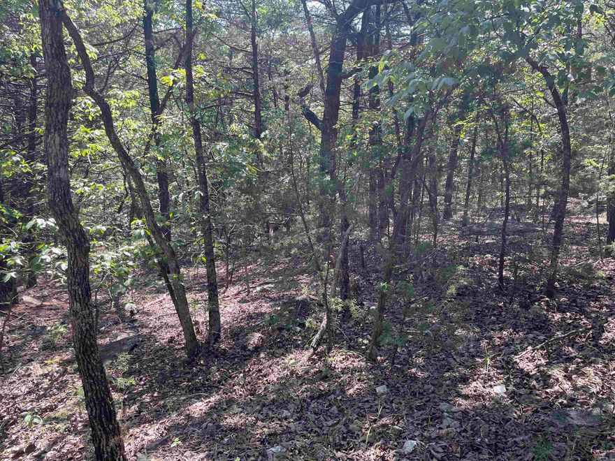 Hunters and Outdoorsman, here is a unique place that has it all!  A place to hunt, camp, fish, hike, close to the Strawberry River and so much more!This is a 6.6 +/- acre lot just off the main road coming in that leads down to the lake!This lot is easy to get to and would make a great lot to build a small cabin on so you can enjoy the outdoors!You are just minutes from a little store called the Calamine Store that serves lunch most days!Not to far from Jonesboro and Hardy!This property ownership gives you access to hunt all property, which contains 600 +/- acres.For those that do not hunt, you can fish the lake, which consists of about 25 +/- acres! If you own this property, you can hunt as long as you do not post your property. There are some restrictions, and you can see those under Documents.There is an approximate $90.00 a year charge for upkeep on the roads in and throught the property as well as upkeep on lake, etc. This lovely lake has a dock and a gathering area with a pavilion for large get-togethers.This property is loaded with whitetail deer and turkey.The lake is stocked with some of this area's Largest Bass!All this could be yours!!