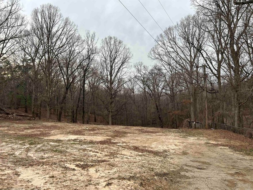 Just outside the city of Wynne in Cross County, you’ll find this great piece of vacant land waiting for you! The property, which sits along a paved county road for easy access, is host to some beautiful hills and trees, along with a cleared flat area that would be well suited to place a mobile home. Water, electric and septic are available on the property!