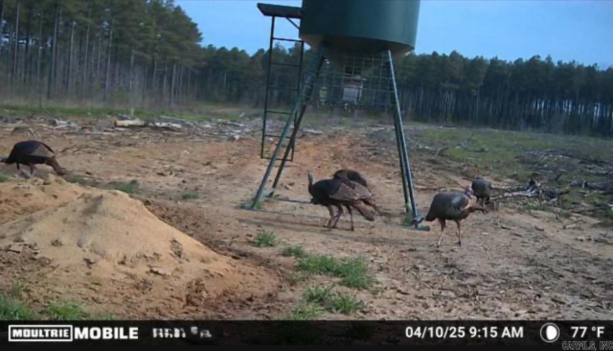 Metes & Bounds - Land