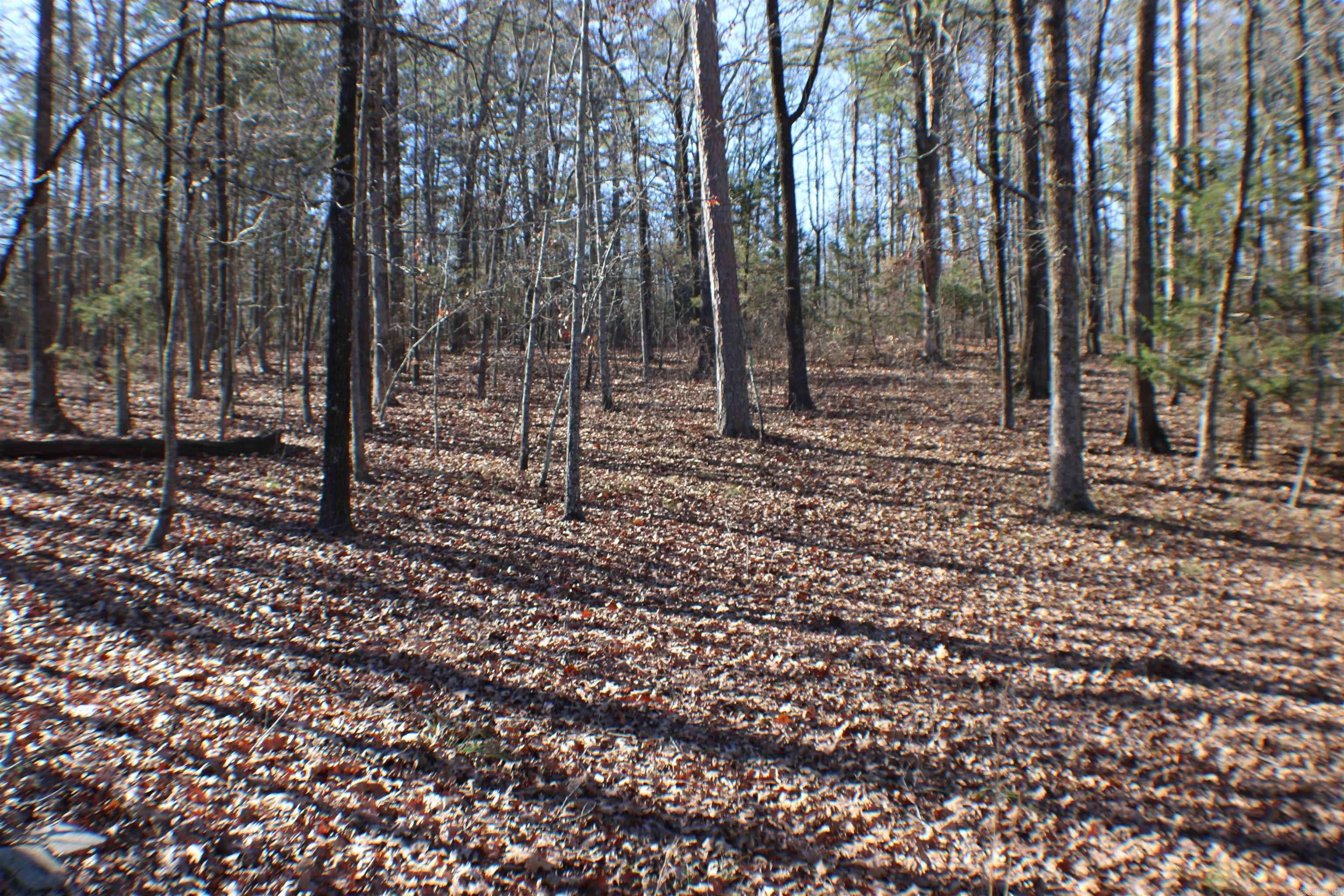 Driftwood Beach - Residential