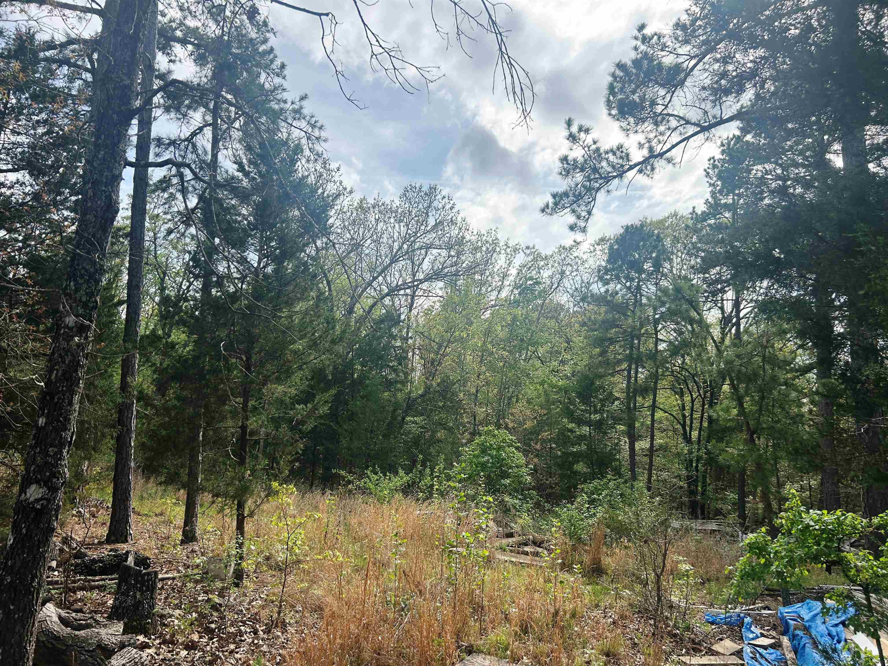 Glenn Forrest 2 - Land