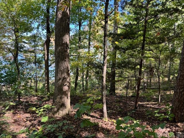 Diamond Bluff Lakefront - Land