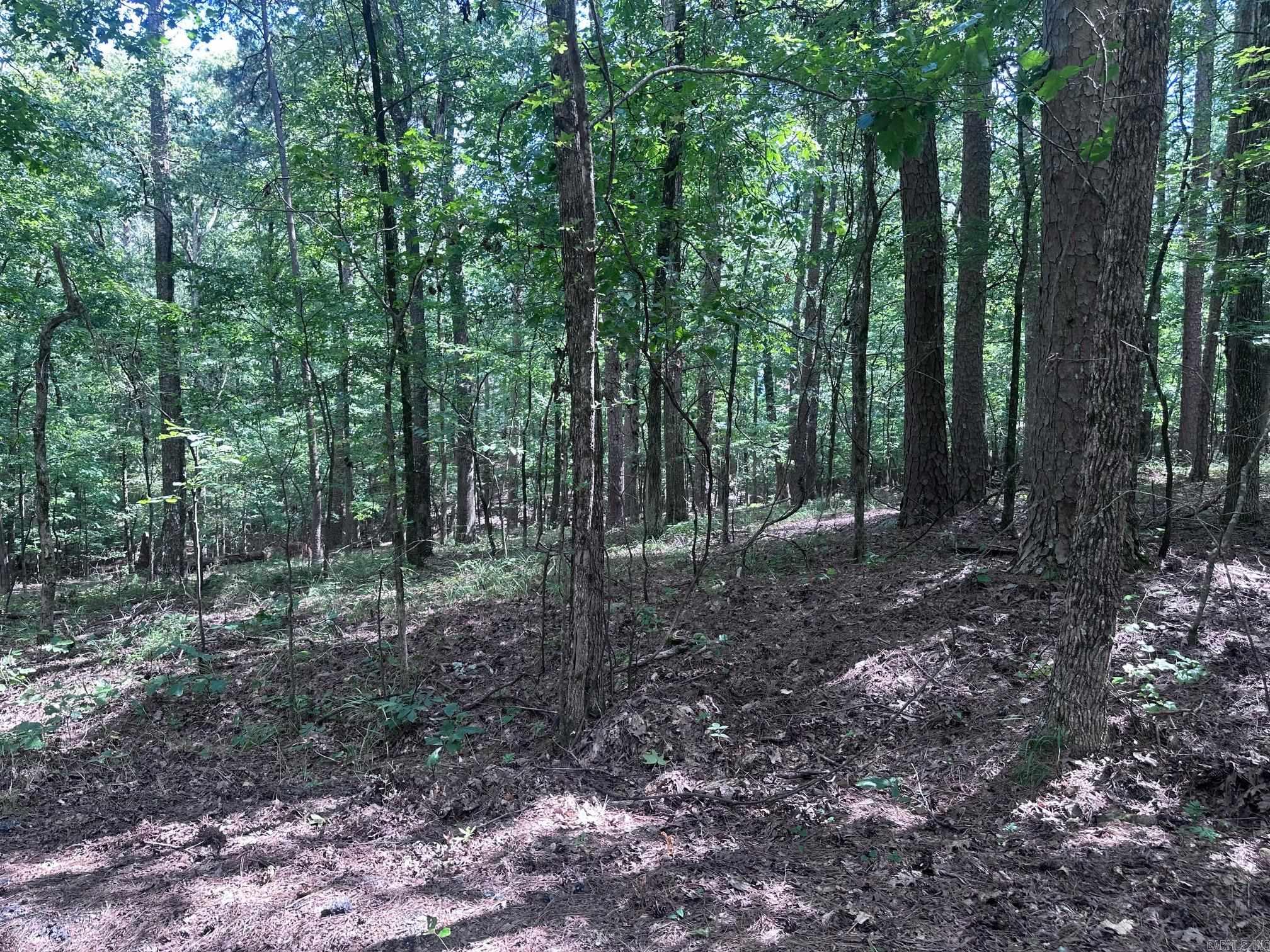 Discover this .26-acre wooded lot tucked away on a quiet cul-de-sac in Hot Springs Village. With little surrounding development, this homesite offers rare privacy and seclusion while still being close to all the amenities you love. Enjoy easy access to Cortez Lake and Cortez Golf Course, along with the Village’s lakes, trails, and recreational opportunities. Whether you’re planning your forever home or a relaxing getaway, this private lot provides the perfect setting to bring your dream to life.