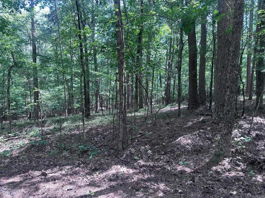 Discover this .26-acre wooded lot tucked away on a quiet cul-de-sac in Hot Springs Village. With little surrounding development, this homesite offers rare privacy and seclusion while still being close to all the amenities you love. Enjoy easy access to Cortez Lake and Cortez Golf Course, along with the Village’s lakes, trails, and recreational opportunities. Whether you’re planning your forever home or a relaxing getaway, this private lot provides the perfect setting to bring your dream to life.