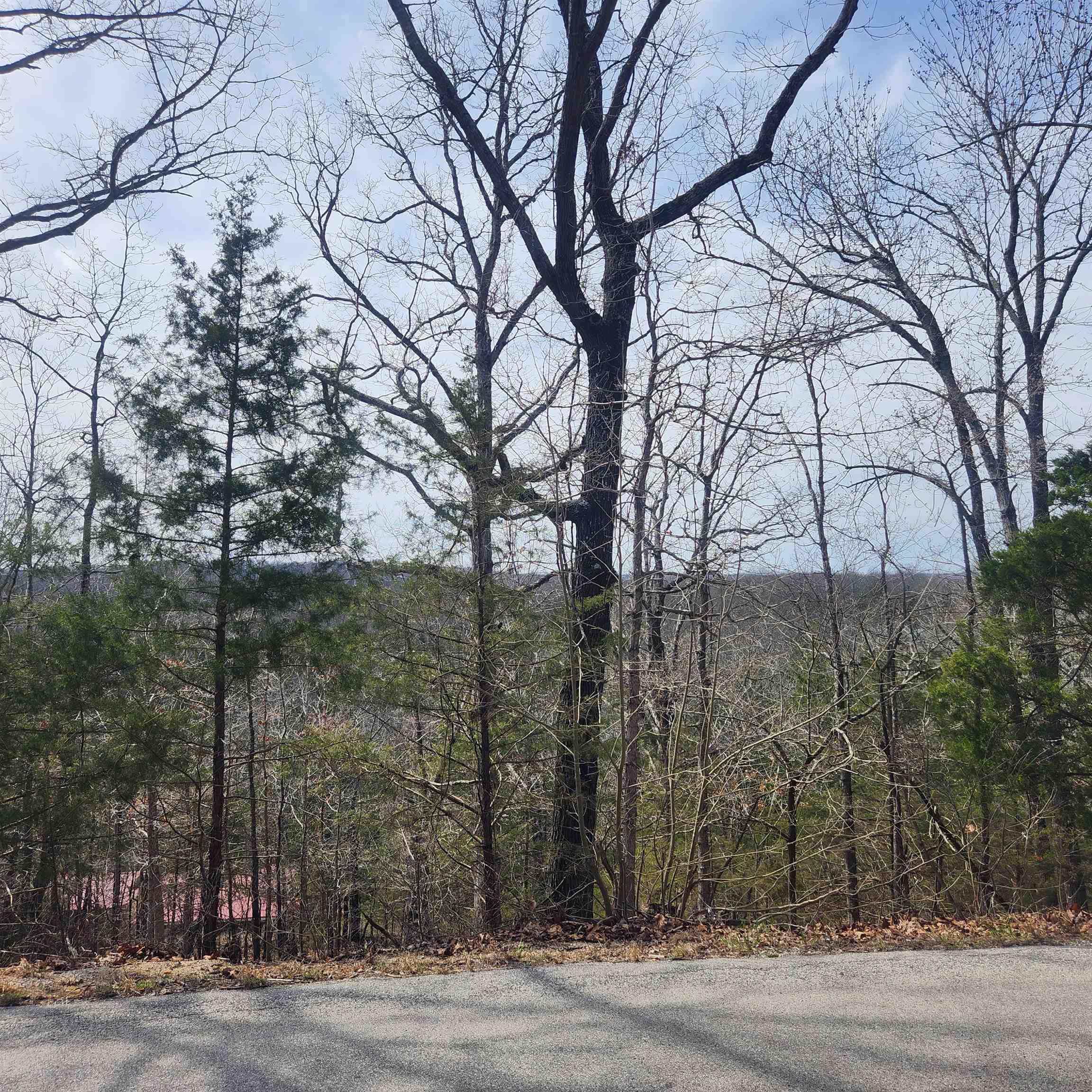 Really nicely wooded, hillside lot that could have outstanding views if a home was built properly. This lot sits high up on Flathead Rd with a possible great view over the Southfork River Valley. Flat head is a well-maintained road in the village. Come check this lot out, check out the view and see where you want to put your vacation home or your forever home. Retire here and fish 7 different lakes and golf 2 different 18-hole golf courses. Shop in Old Hardy town and trout fish the Spring River. Thats living the Cherokee Village lifestyle.