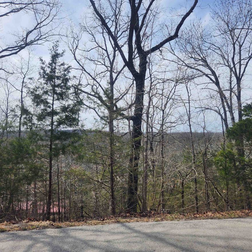 Really nicely wooded, hillside lot that could have outstanding views if a home was built properly. This lot sits high up on Flathead Rd with a possible great view over the Southfork River Valley. Flat head is a well-maintained road in the village. Come check this lot out, check out the view and see where you want to put your vacation home or your forever home. Retire here and fish 7 different lakes and golf 2 different 18-hole golf courses. Shop in Old Hardy town and trout fish the Spring River. Thats living the Cherokee Village lifestyle.