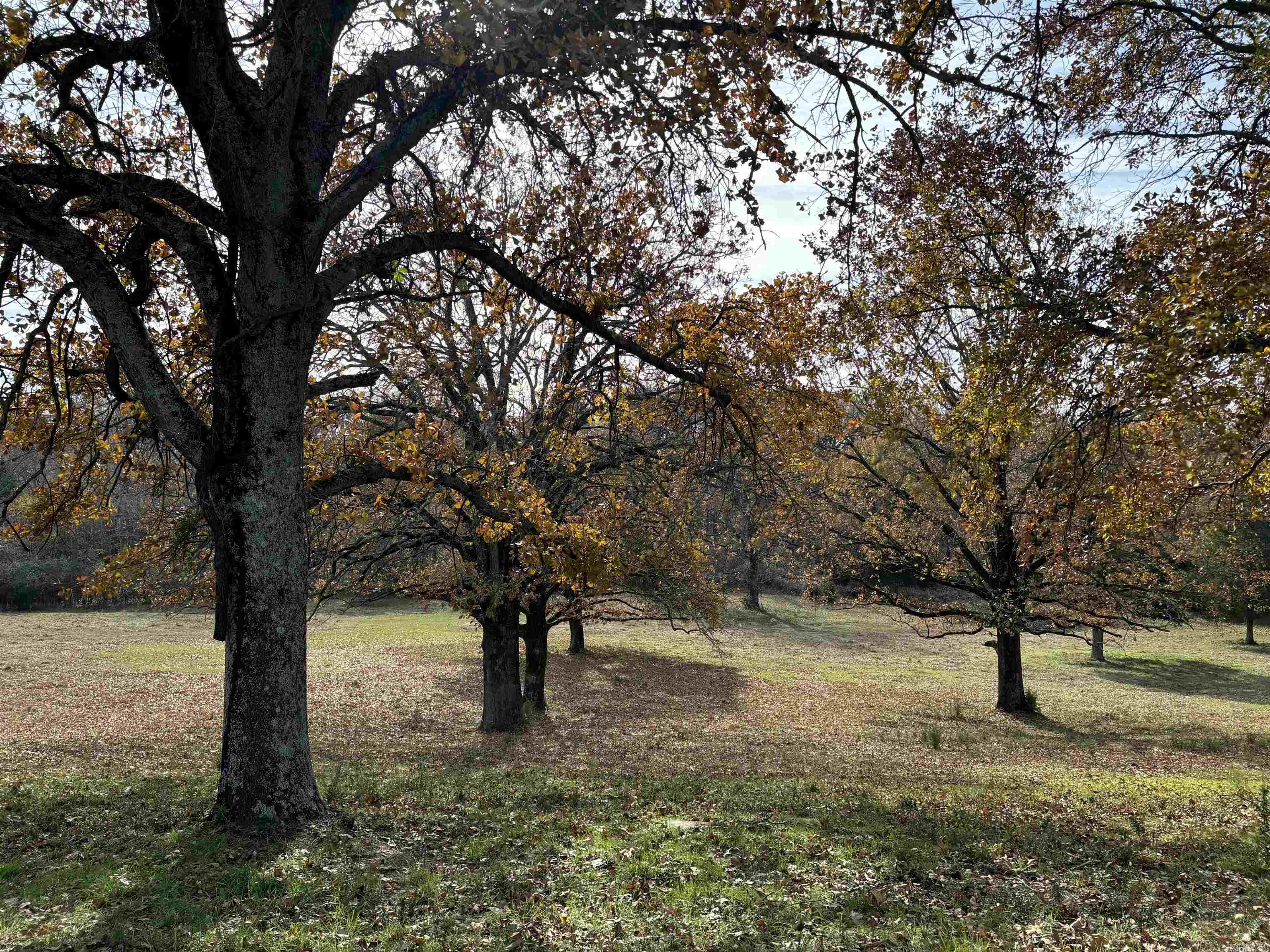 Not in Subdivision - Land