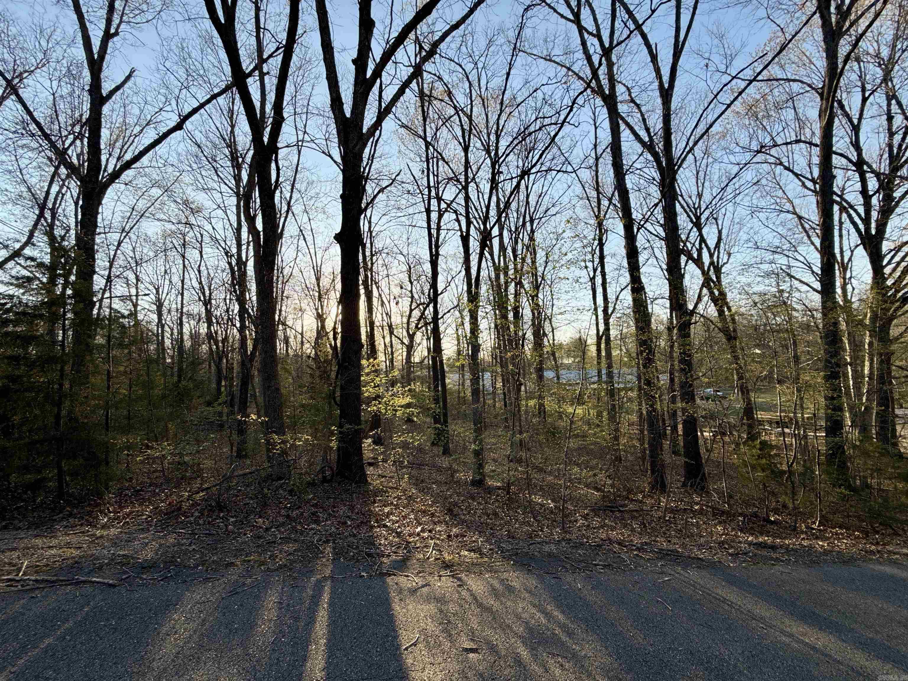 2 beautiful lots in the Glen Cove Subdivision in Lakeview, Arkansas. Near Bull Shoals Lake and Mountain Home. .58 acres total. Lots 87 and 90. Water and Electric available. 1400 sqft. minimum to build, no mobiles or RV as permanent residence.