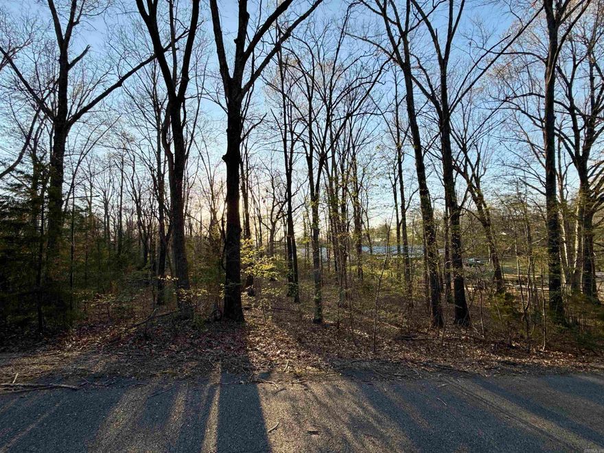 2 beautiful lots in the Glen Cove Subdivision in Lakeview, Arkansas. Near Bull Shoals Lake and Mountain Home. .58 acres total. Lots 87 and 90. Water and Electric available. 1400 sqft. minimum to build, no mobiles or RV as permanent residence.