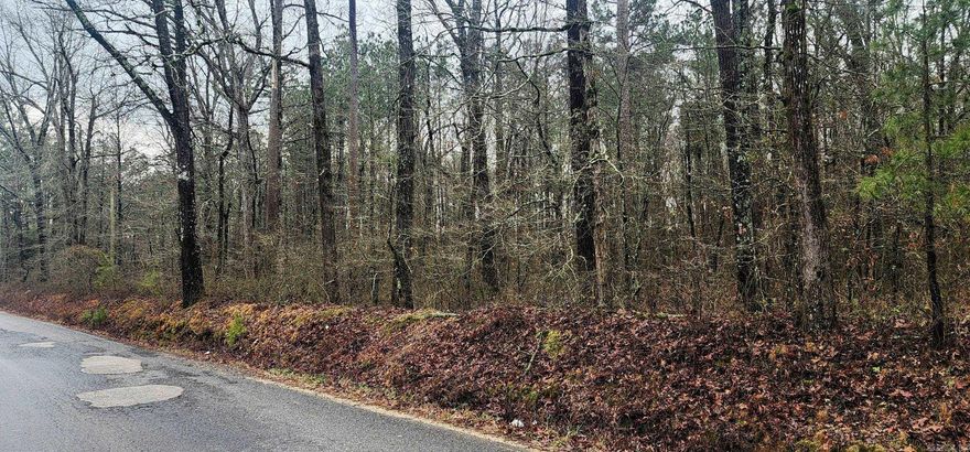 Looking for a beautiful Country Lot for your new home?  This is your chance.  Mature hardwoods and quiet living.  Some utilities available. No Restrictions!  Give me a call today!