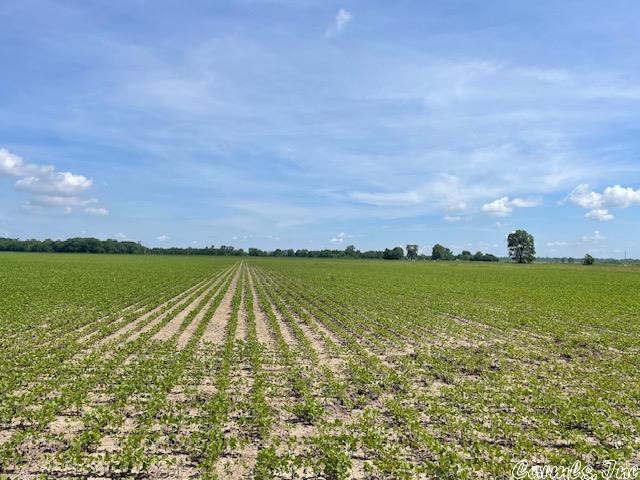 Metes & Bounds - Farm