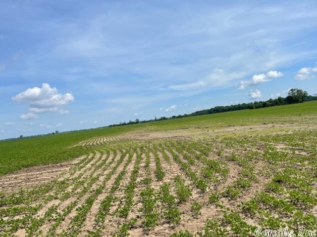 Metes & Bounds - Farm