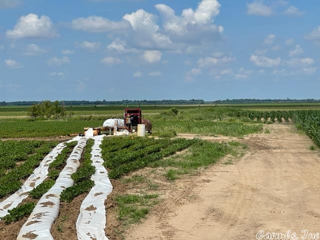 Metes & Bounds - Farm