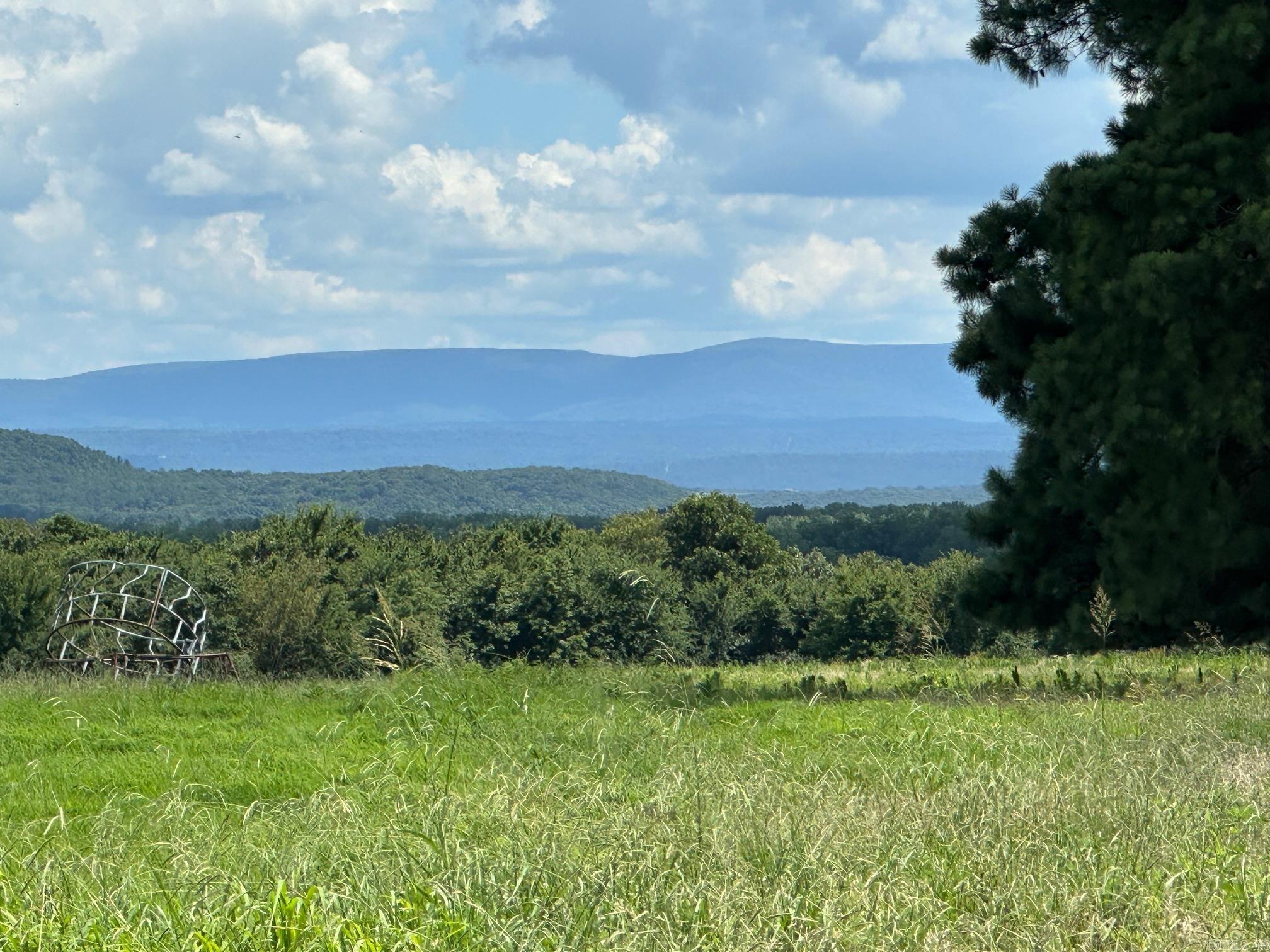 Excellent multi-purpose property that is mostly level east to west and slopes down in elevation to the south. Partly pasture & improved hay meadow, with some woods and a shale pit on the southern end. One acre m/l pond in pasture. Great view of the Ouachita Mountains to the south! Several great custom home locations with almost 300 ft of county road / River Road frontage. Excellent hunting area!!! About 1.2 miles south of Hwy #64 outside of Coal Hill and 1.7 miles from Dollar General and Hwy #164-Hwy #64 intersection. Everything south of this property all the way to the Arkansas River/Lake Dardanelle is flood plain/farmland property that is unlikely to ever be build on! Talk about privacy!!!!! Priced to sell at $5000.00/acre.