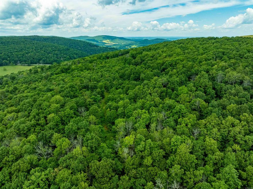 80 +/- Acres of Prime Hunting Land – Private Access Off Old 66 Rd, Leslie, AR  If you’ve been searching for the perfect combination of privacy, seclusion, and top-notch hunting ground, this is it. Tucked behind a locked gate and accessed via a private easement road, this 80± acre tract offers the peace and solitude every outdoorsman dreams of—with just enough access to get there, but not enough for unwanted traffic.  The seller has already cut in a solid road for easy access, leading you back into a property that is absolutely loaded with wildlife. Trail cameras have captured whitetail deer, turkey, coyotes, hogs, and even black bear, golden bear, and brown bear. If you’re looking for a place where you can hunt nearly every game species Arkansas has to offer, this is your chance.  Originally purchased to be a legacy hunting retreat, the seller's plans have changed due to health, and he hopes a new owner will enjoy it as much as he had dreamed to. Located just off Old 66 Road near Leslie, AR, you’ll only travel about a half mile of gravel before turning down your private easement to this exceptional property.