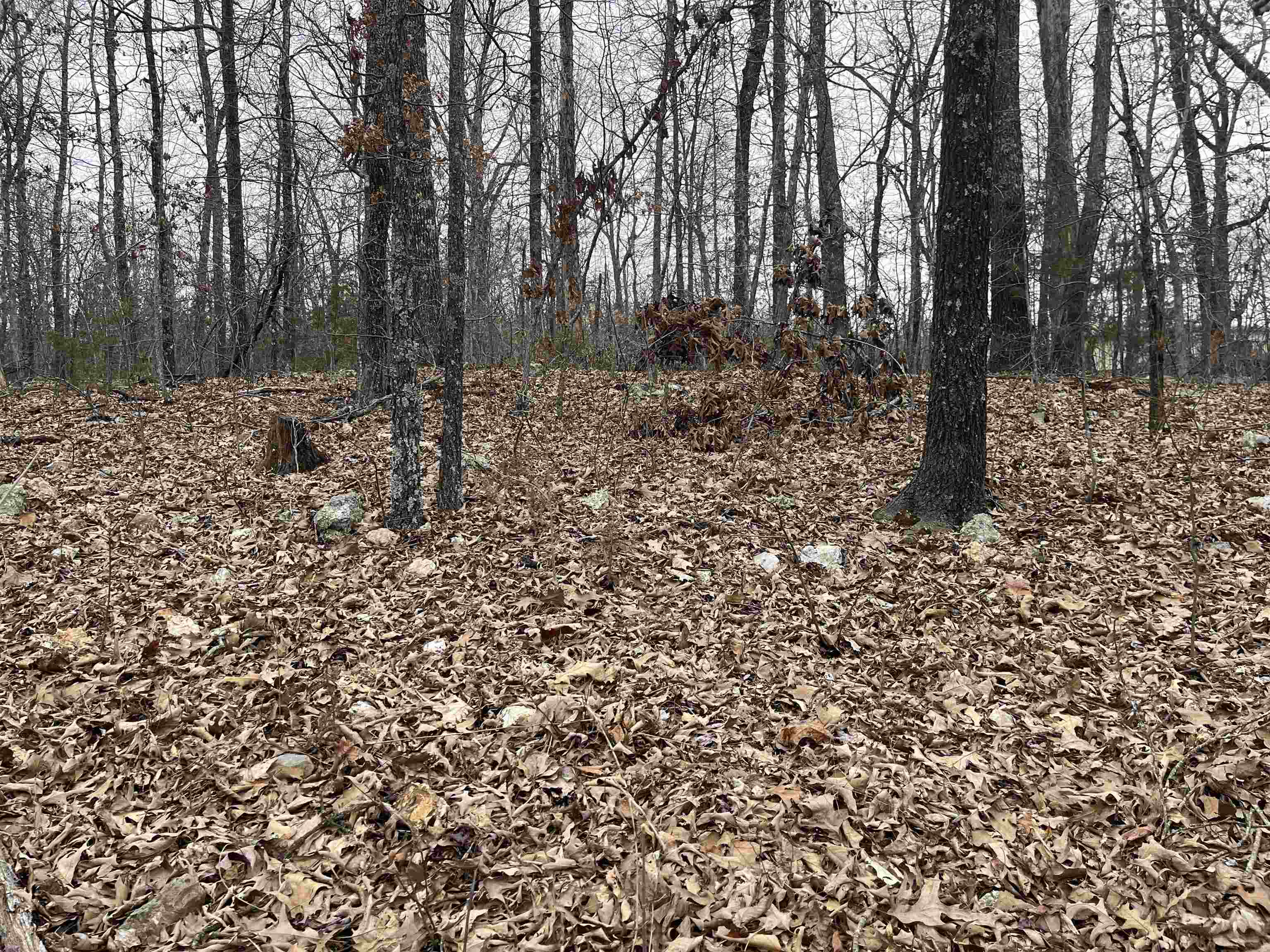 Thinking of building a home overlooking the lake? Here are 2 adjoining lots across from Lake Aztec. These lots offer a slightly upward slope from the road to give you a better view of the lake. Dream of setting on the porch and enjoying the view in a very quiet neighborhood. This could be it.
