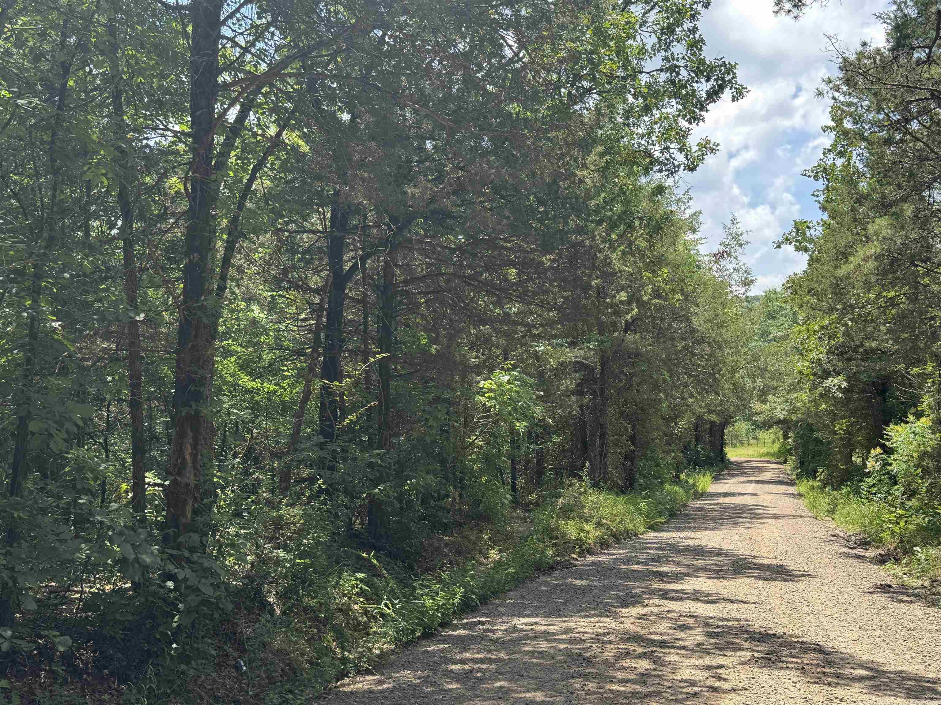 If you are looking for a small place in rural Arkansas, the Center Ridge 3 could be the perfect spot! This property is slightly sloping and features a beautiful mix of hardwoods and mature cedar trees. A lovely wet-weather branch runs through the center, offering a great potential location for a home or cabin. The property also has electricity crossing the northern portion and road frontage along its entire length, providing easy access wherever you choose to build or place a stand. It's situated on a well-maintained gravel road with minimal neighbors and beautiful surroundings.