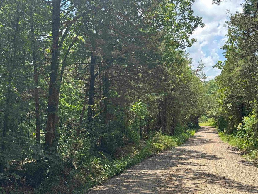 If you are looking for a small place in rural Arkansas, the Center Ridge 3 could be the perfect spot! This property is slightly sloping and features a beautiful mix of hardwoods and mature cedar trees. A lovely wet-weather branch runs through the center, offering a great potential location for a home or cabin.   The property also has electricity crossing the northern portion and road frontage along its entire length, providing easy access wherever you choose to build or place a stand. It's situated on a well-maintained gravel road with minimal neighbors and beautiful surroundings.