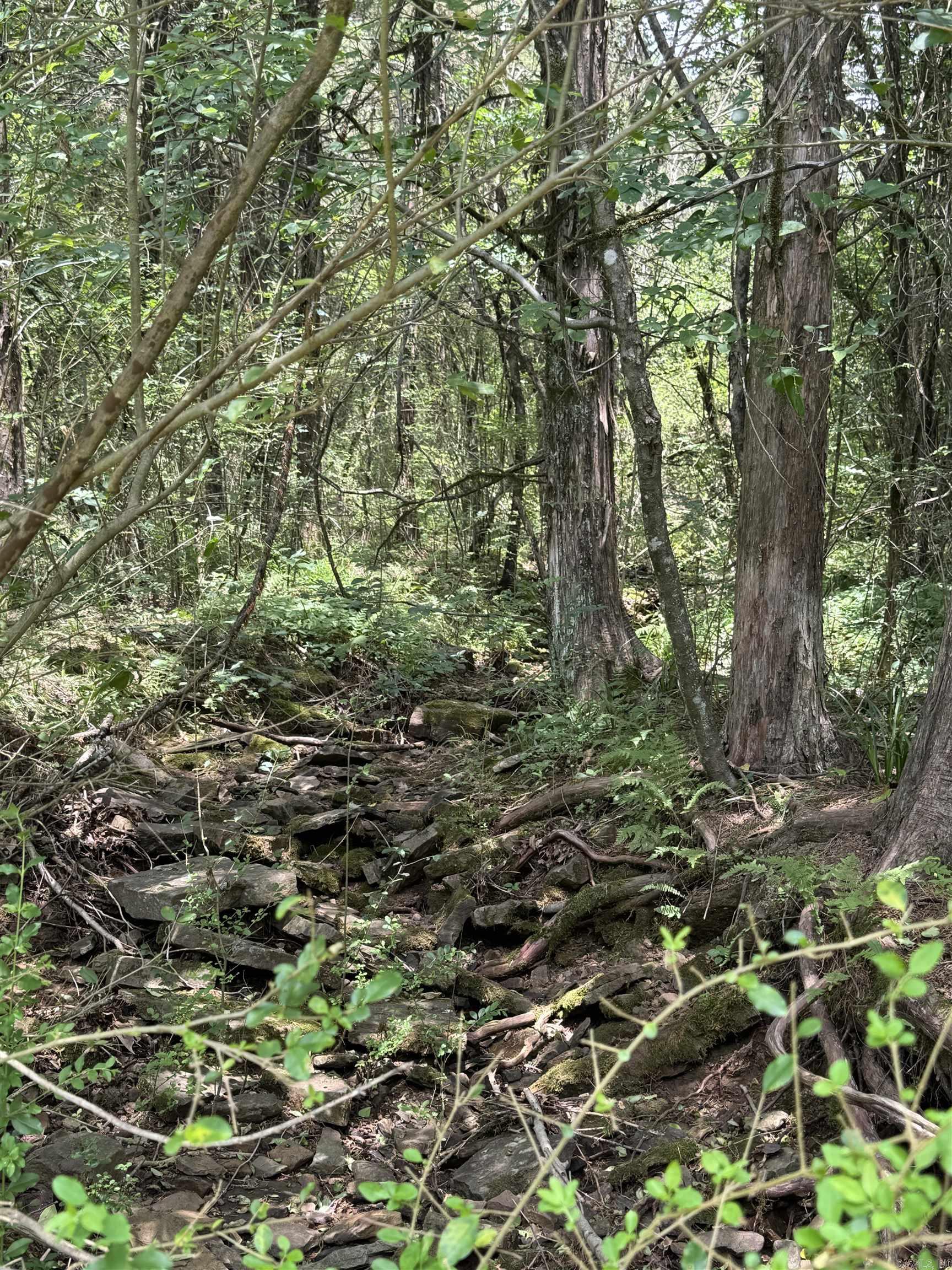 Metes & Bounds - Land