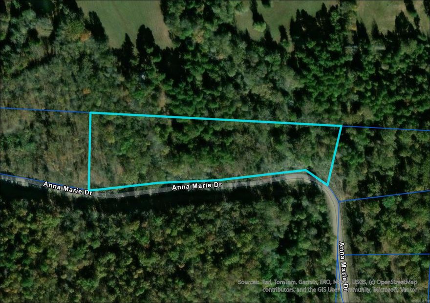 Quiet, peaceful, wooded setting with utilities available at the road, Anna Marie Drive is ready for you!  Make this gorgeous piece of Arkansas yours today! Note: Property is listed multiple ways, address is not the official address, just the lot number. *Lot lines are estimates and not survey accurate