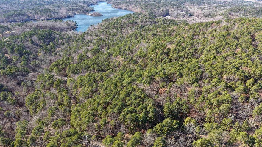 1.11+/- acres located in the El Pelo Subdivision of Hot Springs Village, with water, sewer, and electricity available. This gated community offers access to Village amenities. Bring your vision to life and build your dream home here.