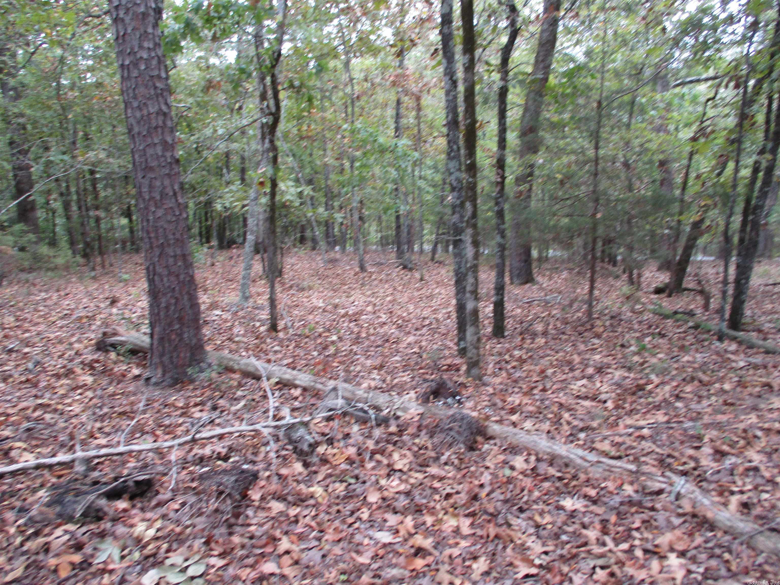 Great building lot on Diamante Private Country Club located on the 2nd fair way. In nation's largest gated community Hot Springs Village Ar. Gold status.